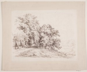 Rietomheinde weg langs bomen en weiden door Axel Schovelin