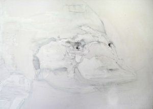 Vogelbekdier
