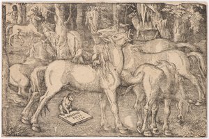 Groep van zeven paarden, 1534