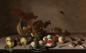 Fruit stilleven met mand, mosselen en vlinder, eerste helft van de 17e eeuw door Balthasar van der Ast