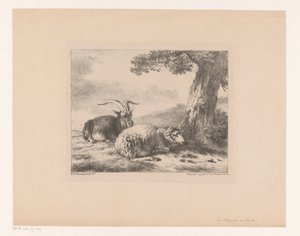Bok en schaap door Balthasar Paul Ommeganck