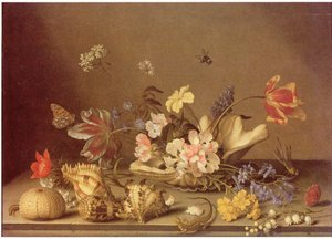 Stilleven van bloemen en schelpen door Balthasar van der Ast