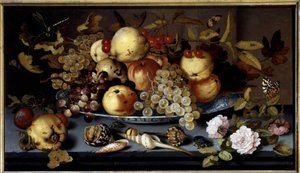Stilleven van fruit, bloemen, schelpen en insecten