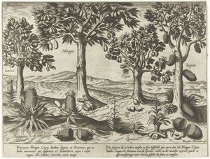 Fruitbomen en -struiken uit Oost-Indië