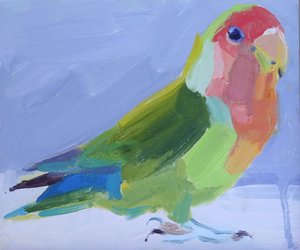 Liefdesvogel, 2017