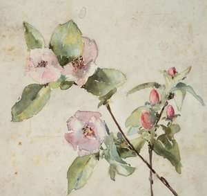 Takken met roze bloemen