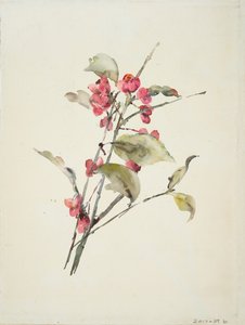 Roze bloemen