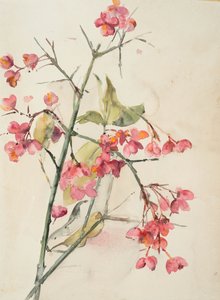 Roze bloemen door Barbara Leigh Smith Bodichon