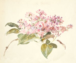 Roze bloemen door Barbara Leigh Smith Bodichon