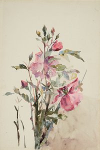 Roze bloemstelen