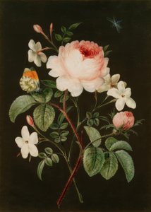 Boeket van Roos en Jasmijn
