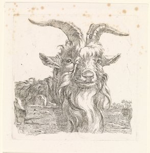 Kop van een bok door Barend Hendrik Thier
