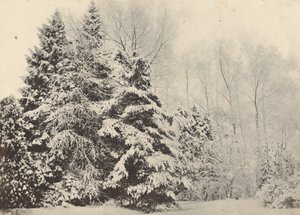 Landschap van Sparren onder de Sneeuw door Baron A. Fays