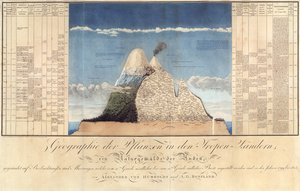 Geografie van Planten in Tropische Landen, Een Studie van de Andes, getekend door Schoenberger en Turpin, gedrukt door Langlois, Parijs