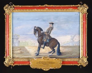 Nr. 54 Een Deense kastanjebruin paard van de Spaanse Rijschool dat een dressuurbeweging uitvoert door Baron Reis Eisenberg