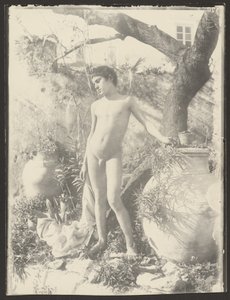 [Naakte jeugd in tuin] door Baron Wilhelm von Gloeden