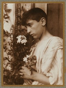  door Baron Wilhelm von Gloeden