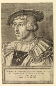  door Barthel Beham