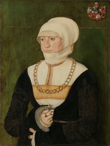 Portret van Magdalena Pittrichin, 1528 door Barthel Beham