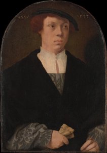 Portret van een man, 1533 door Bartholomaeus Bruyn the Elder
