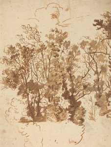 Landschapsstudie