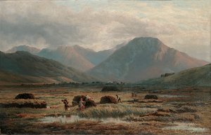 Veenmoeras, Letterfrack, Connemara