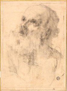 Hoofd van een oude man door Bartolomé Esteban Murillo
