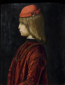 Portret van Guidubaldo da Montefeltro, c.1480-81