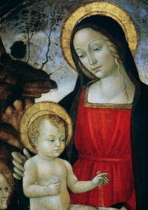 Madonna en Kind (detail) door Bartolomeo Montagna