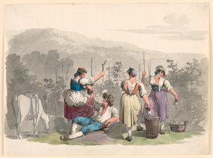 Wijnoogst in de bergen nabij Rome