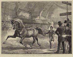 Draf op de Islington Horse Show door Basil Bradley