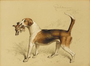 Vergelding door Basil J. Nightingale