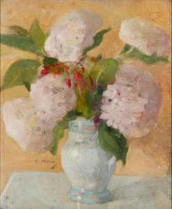 Hortensia