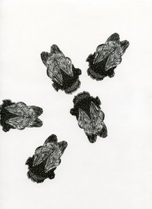 Bijenvergadering, 2013