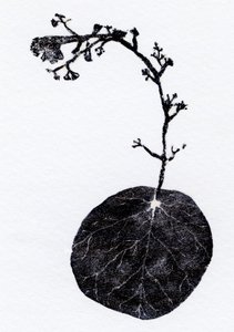 Lichenblad, 2014 door Bella Larsson