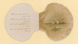 Illustratie voor boekje getiteld Zeeschelpen