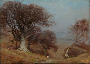 Beuken op de Quantocks, 1885-1924 door Benjamin Haughton