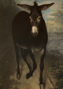 Een Siciliaanse ezel