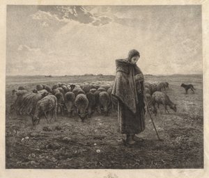 De Schaapskooi