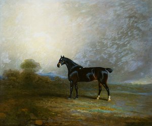 Bembo, een favoriete jager van Charles Shuttleworth, Esq., 1802 door Benjamin Marshall