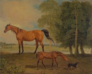 Broodmare met veulen en een terriër door Benjamin Marshall