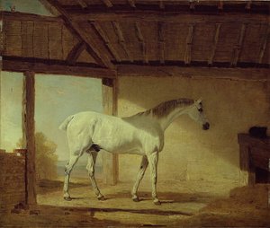 Het paard van de graaf van Coventry door Benjamin Marshall