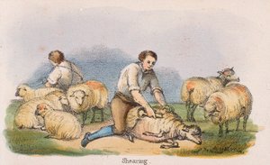 Scheren, ca. 1845