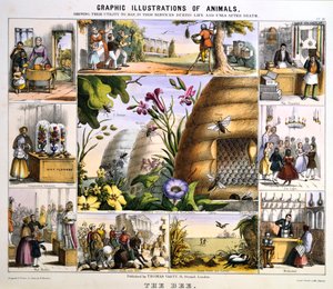 De bij, ca. 1850