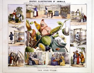 De Zijdeworm, c1850