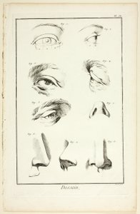 Ontwerp: Gezichtsanatomie uit Encyclopédie