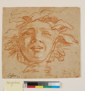 Gezicht van een faun?
