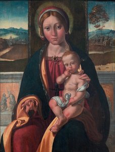 Deens:  Madonna med Barnet De maagd en het kind