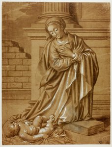 Madonna en Kind door Benvenuto Tisi da Garofalo