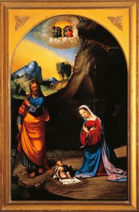 Geboorte van Christus door Benvenuto Garofalo door Benvenuto Tisi da Garofalo